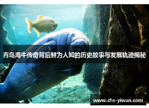 青岛海牛传奇背后鲜为人知的历史故事与发展轨迹揭秘