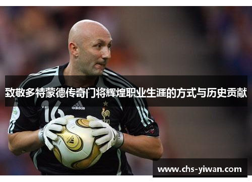 致敬多特蒙德传奇门将辉煌职业生涯的方式与历史贡献