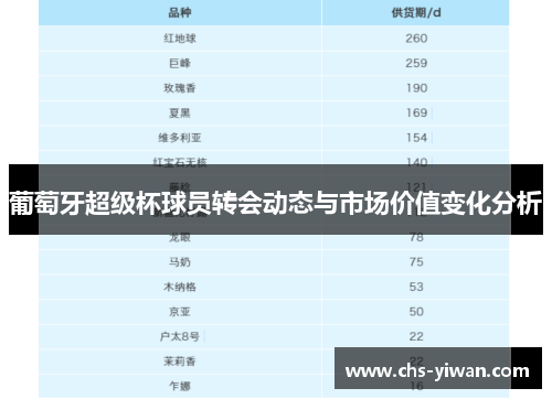 葡萄牙超级杯球员转会动态与市场价值变化分析