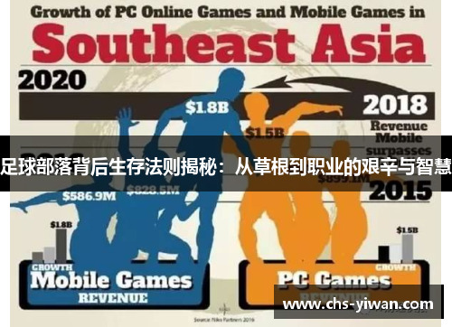 足球部落背后生存法则揭秘：从草根到职业的艰辛与智慧